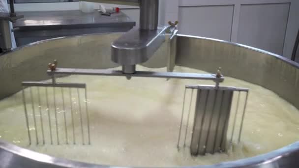現代の技術で作る伝統的なチーズ ホエイ カード ソース生地の生産 天然乳からチーズを作るプロセス — ストック動画