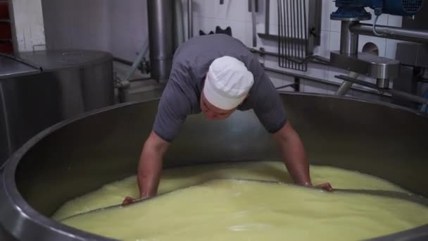 天然牛奶奶酪作为一种生意 在工业中生产奶酪的过程 复制空间 — 图库视频影像
