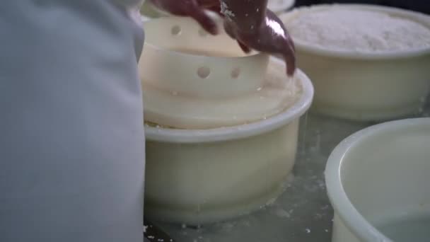 奶酪在乳制品中的生产 工人按乳酪的形式 奶酪制造商开始塑造最终产品 小企业和生产的概念 特写镜头 — 图库视频影像