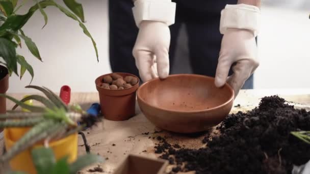 Mãos Masculinas Jardineiros Mão Adicionando Drenagem Argila Expandida Vaso Cerâmica — Vídeo de Stock