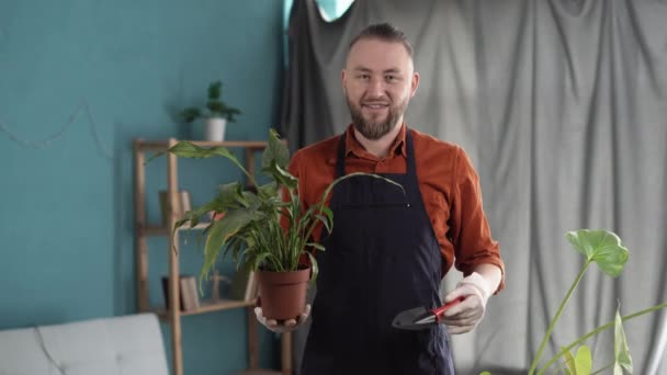 Homme Millénaire Tenant Fleur Verte Pot Prenant Soin Des Plantes — Video