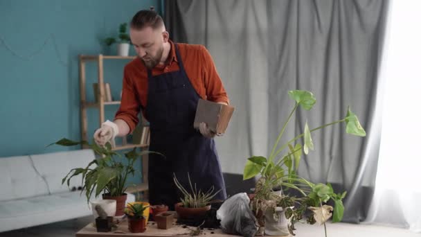 Disease Houseplant Man Looking Wilting Houseplant Spathiphyllum Pot Reading Botanical — Stock Video