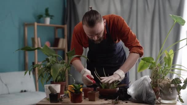 Jeune Homme Replantant Plante Intérieur Verte Pot Céramique Dans Jardin — Video