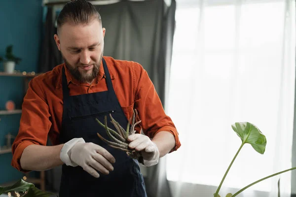 stock image Spring Houseplant Care. Man is transplanting diseases plant into new pot at home. Copy space