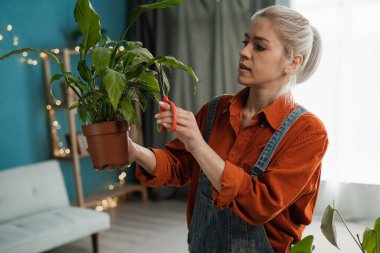 Bahçıvan kadın tulum giyiyor, ev bitkileriyle ilgileniyor, sarı yapraklar kesiyor. Evde bahçe işleri, ev bitkilerini sevmek, serbest çalışmak..