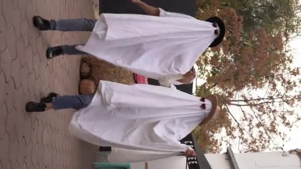Halloween Dva Duchové Brýlích Kráčející Zakrytí Bílým Přízračným Prostěradlem Venkovské — Stock video