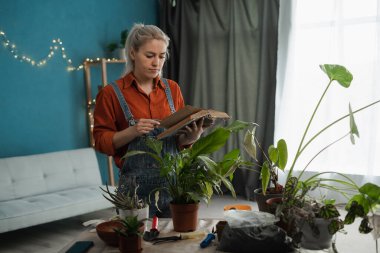 Elinde kitap olan bir kadın eve saksı çiçeği ekiyor. Atölye nakli ev bitkileri. İnsanlar, bahçe işleri ve ev işleri konsepti