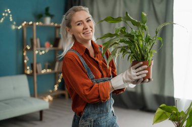 Bahar hobisi, saksıda bitki nakli yapan, kameraya gülümseyen, evdeki çiçeklere bakan, bahçedeki ağaç yetiştiren güzel bir kadın. Mutlu portre
