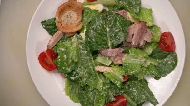 Cézár Salátát Főzök Szakács Krutont Saláta Tányérhoz Felülnézetből Finom Éttermi — Stock videók