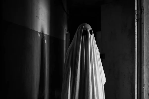 Horror Halloween concept. Inside of old creepy abandoned mansion. Horror ghost standing on corridor. Black and white. Copy space