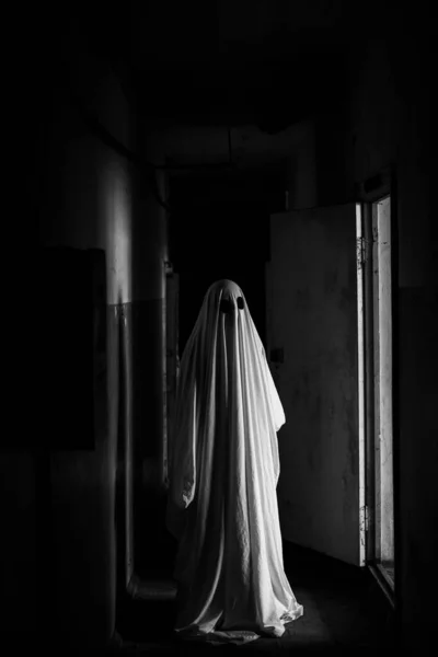 Horror Halloween concept. Inside of old creepy abandoned mansion. Horror ghost standing on corridor. Black and white. Copy space