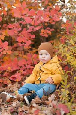 Sonbahar bebek portresi, sonbahar sarısı ve kırmızı yapraklar, turuncu elbiseli küçük çocuk, ekim ayında parkta güzel bir çocuk. Boşluğu kopyala