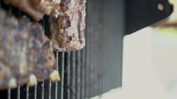 Filetes Pollo Cerdo Cocinados Parrilla Gas Durante Encantador Verano Cerca — Vídeos de Stock