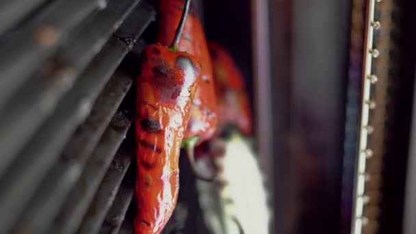男は美しい夏の時間 食品の概念の間にガスグリルで野菜を焼く 垂直ビデオ — ストック動画