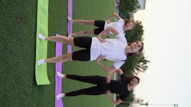 Mulheres Sorridentes Que Estendem Livre Exercitando Pôr Sol Fitness Esporte — Vídeo de Stock