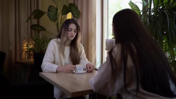 Two Women Sitting Restaurant Talking Smiling Friends Sitting Cafe Coffee — วีดีโอสต็อก