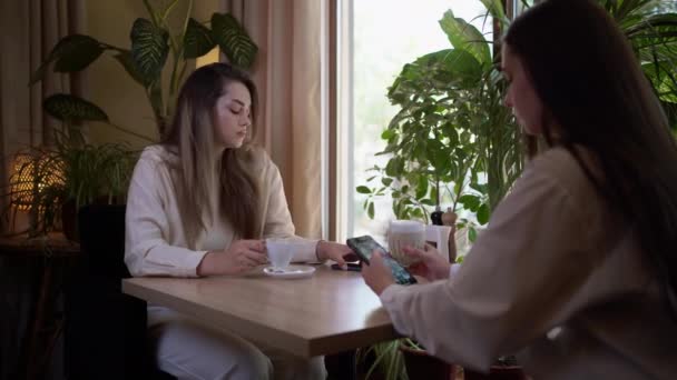 Dos Amigos Mirando Teléfono Inteligente Mientras Están Sentados Café Ignorándose — Vídeo de stock