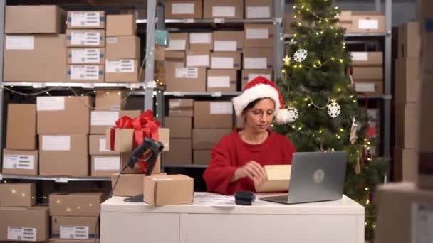 Inventarverwalterin Mit Weihnachtsmütze Laptop Computer Bestellnummer Auf Einem Paket Überprüfen — Stockvideo