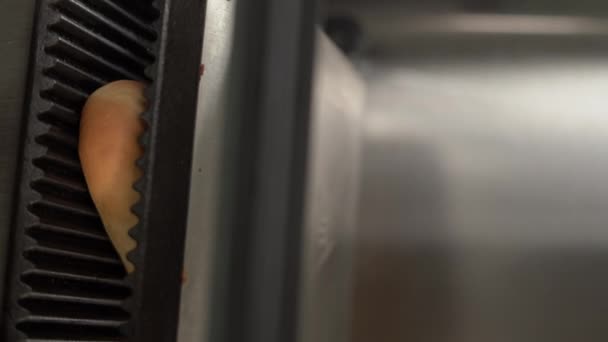 Fare Grigliare Focacce Hot Dog Una Griglia Elettrica Vista Dall — Video Stock