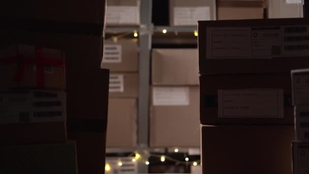 Employé Entrepôt Met Des Étagères Carton Remplies Boîtes Carton Colis — Video