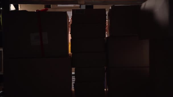 箱の間の均一なそして帽子の倉庫の上級貯蔵労働者の肖像画 コピースペース — ストック動画