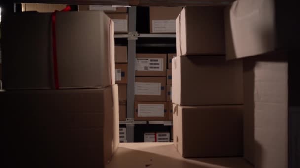 Senior Staff Working Warehouse Smiling Warehouse Worker Moving Boxes Shelf — Stock Video