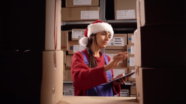Trabalhador Vestindo Chapéu Papai Noel Verificando Produtos Prateleira Armazenamento Armazém — Vídeo de Stock