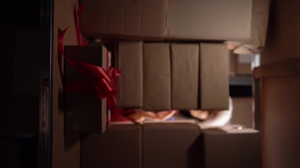 Bir Kadın Atölyedeki Raftan Mutlu Noeller Hediyesi Kutusunu Alıyor Dikey — Stok video