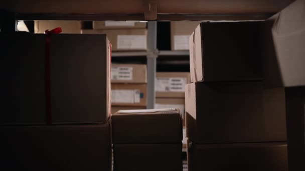 貯蔵庫の女性労働者は段ボール箱が付いている貯蔵庫で それを棚に置きます コピースペース — ストック動画