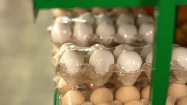Les Oeufs Sont Emballés Sur Les Étagères Supermarché Les Œufs — Video