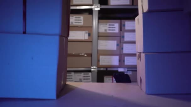 警察夜间突袭 小偷被捕的概念 仓库上闪烁着红色和蓝色的警灯 复制空间 — 图库视频影像