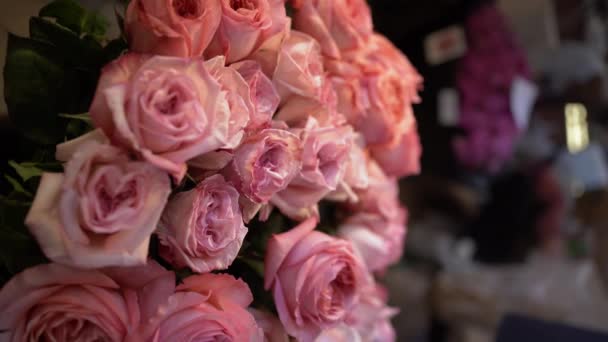 花瓶に立っている柔らかいピンク色の美しい花の花と女性の手は花屋でそれを取ります スペースをコピーする バーティカルビデオ — ストック動画