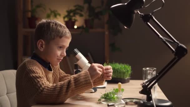 Écolier Étudiant Des Plantes Microscope Assoit Dans Chambre Soir Maison — Video