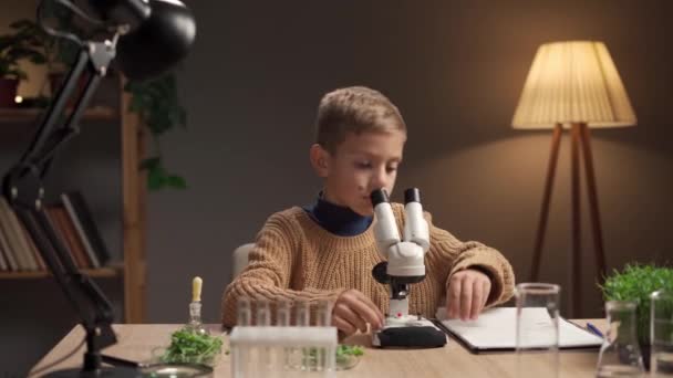 Rapaz Inteligente Estuda Sob Plantas Microscópicas Sentado Casa Entusiasticamente Olha — Vídeo de Stock