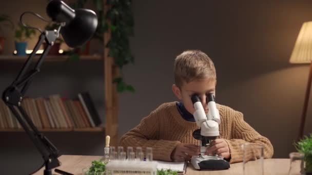 Παιδιά Επιστήμονες Μαθαίνουν Και Γράφουν Επιστήμες Μικροσκόπιο Στο Σπίτι Εργαστήριο — Αρχείο Βίντεο