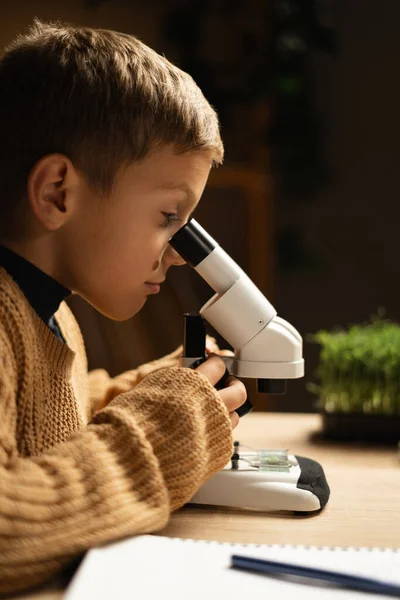 Schoolboy studying nature at home using a microscope while conducting experiments for a school project. Copy space