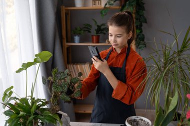 Cep telefonu kullanan bir çocuk, esrar çeken bir akıllı telefon evdeki kirli toprağın olduğu bir ev bitkisi bahçe bitkisi. Boşluğu kopyala