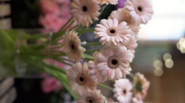Çiçekçi vazodan Gerbera çiçekleri alıyor. Çiçekçi dükkanında bir buket oluşturuyor. Yakın plan. Dikey video