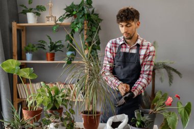 Bahar hobisi, mutlu Arap genç bir adamın evdeki saksılarda çiçek nakli, ev bahçesindeki bahçe bitkisi. Çiçek bakımı kavramı