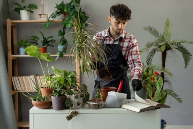 Ciddi bir Arap adam elinde kitap, evine saksı çiçeği ekiyor. İnsanlar, bahçe işleri ve ev işleri konsepti