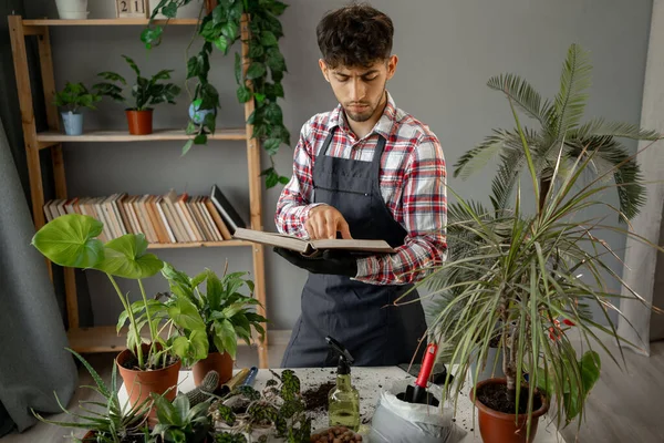 Relaxing home gardening. Young happy Arabic man with potted plant and book at modern home in sunny day.