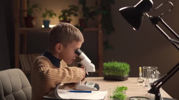 Chłopiec Studiuje Naukę Domu Pomocą Mikroskopu Zielonych Roślin Przygotowuje Projekt — Wideo stockowe