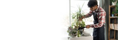 Ev bahçesinde bahar bitkisi bakımı, ev bitkisi nakli. Arap genç adam evdeki yeni bir çömleğe bitki naklediyor. Pankart. Boşluğu kopyala