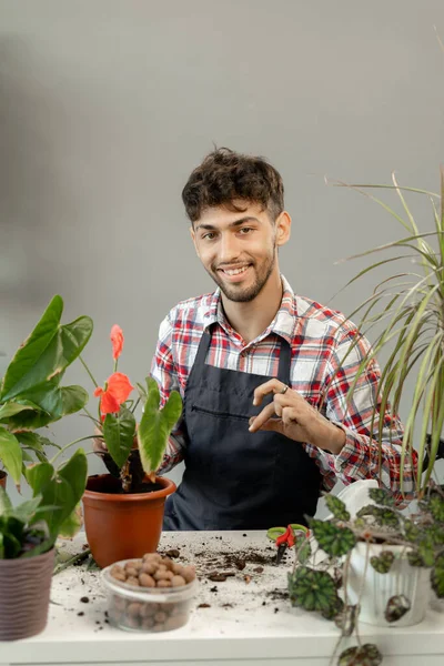 stock image Smiling Arabic man carrying for green plants at home. Happy male gardener or florist take care of domestic flowers. Gardening concept. Copy space