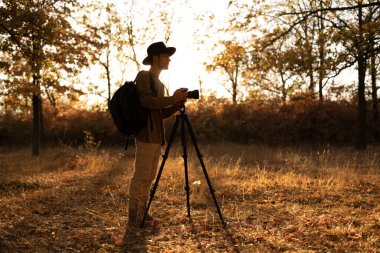 Yürüyüş fotoğrafçısı, sonbahar akşamı üç ayaklı kamerayla orman manzarasının fotoğrafını çekiyor, gün batımında altın yapraklı ağaçların arasında duruyor. Boşluğu kopyala