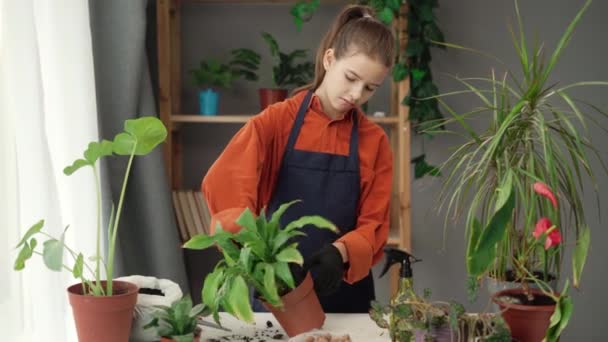 Menina Trabalhando Casa Casa Jardim Com Plantas Transplante Vaso Flores — Vídeo de Stock