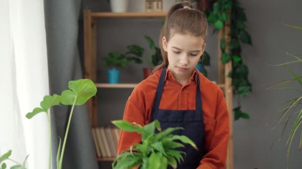 온실에서 식물을 어린이 냄비에 식물을 식물을 돌보고 이식하는 — 비디오