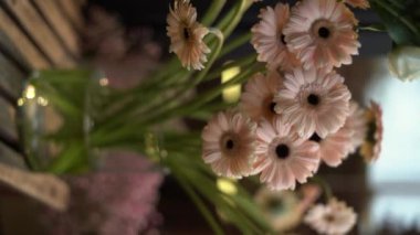 Çiçekçide çiçek buketi yapmak ve tasarlamak için cam vazodan Gerbera çiçeklerini alan kadın. Dikey video