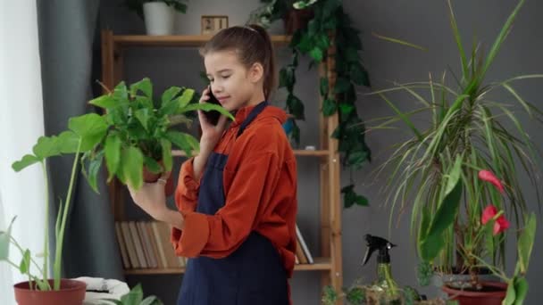 Home Gardening Und Frühjahrspflegekonzept Mädchen Verpflanzt Zimmerpflanzen Töpfe Steht Tisch — Stockvideo