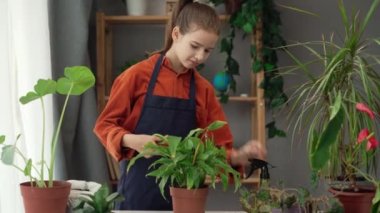 Çiçek hastalıkları ve güneş yanıkları. Hastalıklar tanımlama ve tedavi, hasarlı yaprakları kesen eller. Boşluğu kopyala